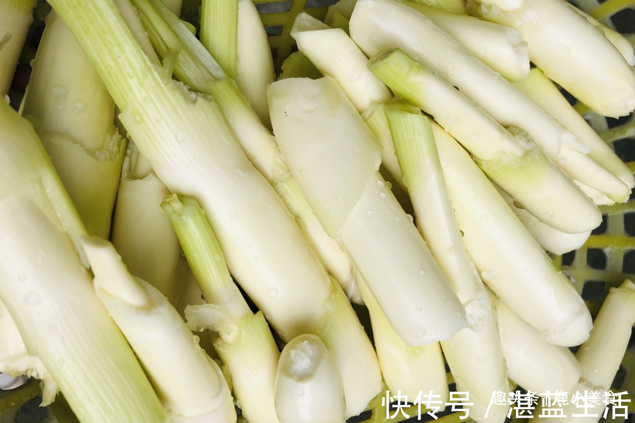 韭菜苔|6月不可错过的时令蔬菜,鲜嫩营养高,小炒超好吃,夏季就好此口