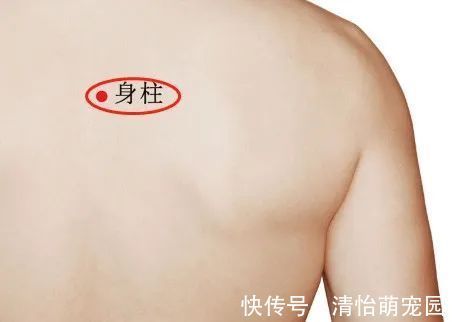 阳气|夏天开背,人活百岁!教你5个保养后背实用方法,身体健康不遭罪