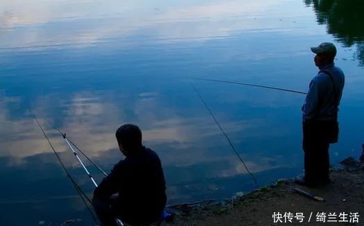 鱼儿|钓鱼不知道怎么配饵？学会这几个饵料技巧，走到哪里都不怕！