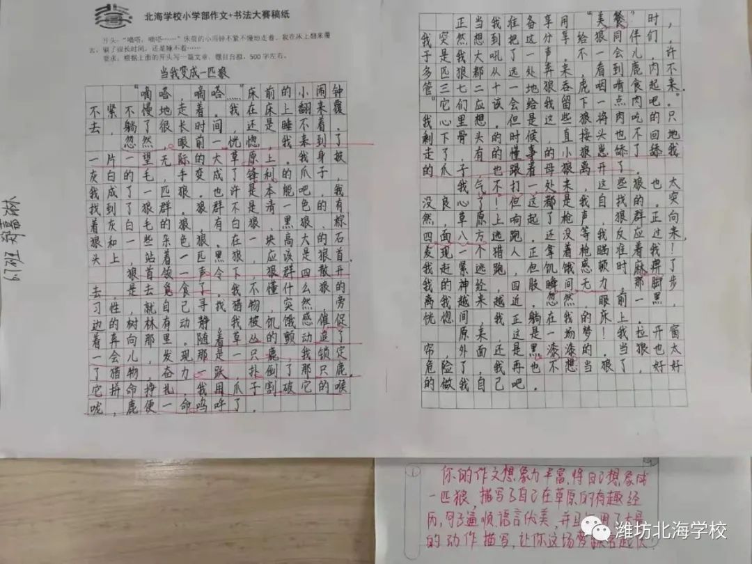 作文|才思谱锦绣，妙笔著华章——北海学校六年级举行作文大赛