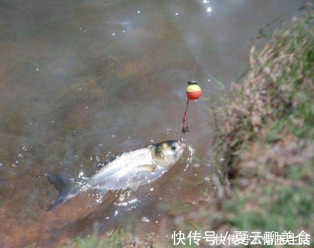 鱼窝有鱼却不咬钩30年老钓友教你个绝招,让你提竿到手软