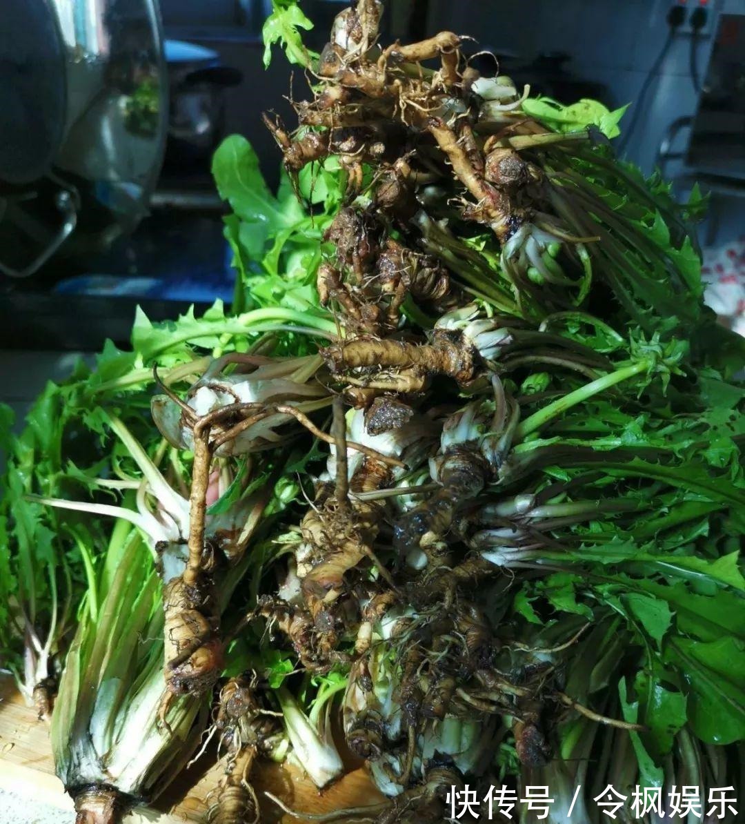 老中医最爱的8种花，一盆堪比小药箱，摘片叶子就能泡水喝！