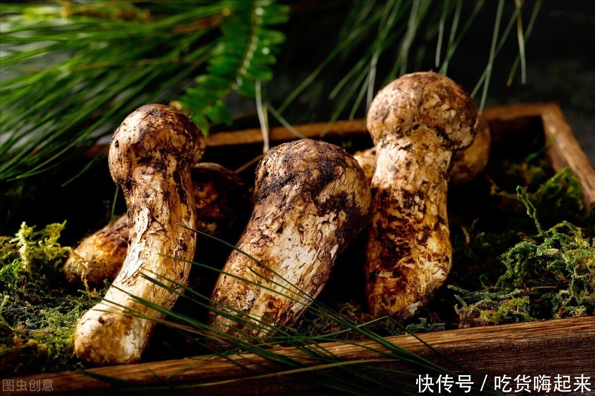 长江刀鱼|我国“高级”的5种食材，长江刀鱼不算什么，最后那头猪就厉害了