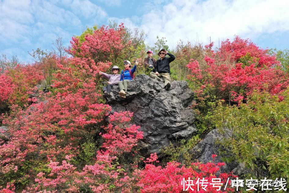 来旌德，深呼吸——写在旌德县荣膺“中国天然氧吧”称号之际