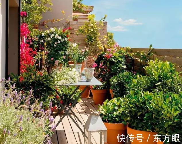 阳台上|造个好阳台,晒太阳