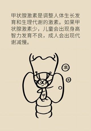 检查|变胖变累竟是这个器官失灵了，女性更需要早做检查