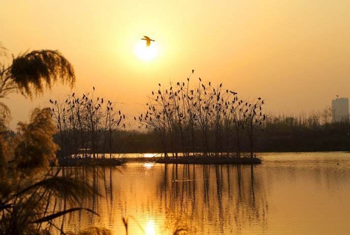 诗词#青衫长叹路漫漫,秋日登高兴未阑杨鑫诗词24首