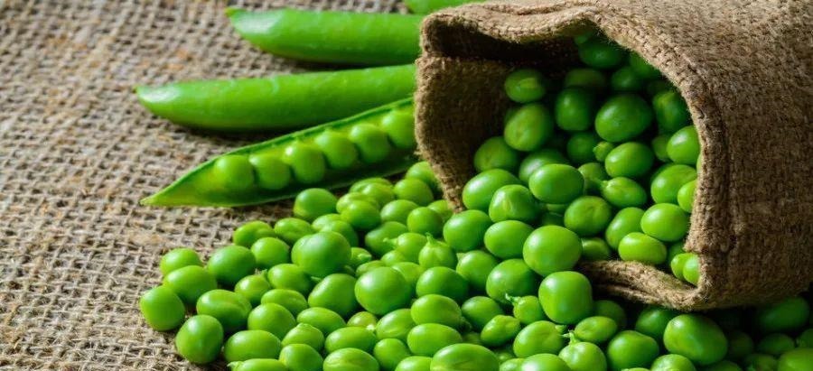 木瓜|25岁宝妈一天下奶800ml,医生:学会四多二少,奶水充足不用愁