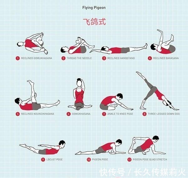 姿势|瑜伽飞鸽式,这样循序渐进进入安全又有效!