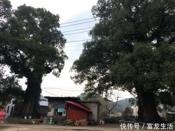 一代权臣,严嵩老宅,只剩半截残墙