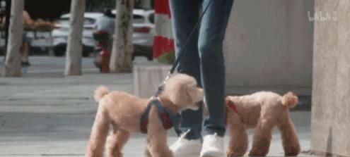 房客|這私生活一曝，都得重新認識她