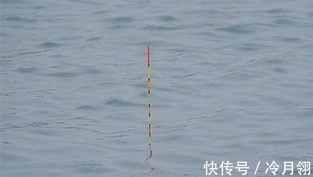 搞明白浮漂产生动作的原因,就知道怎么钓鱼了