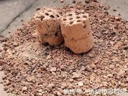 煤渣确实可以养多肉,但是你要注意这几点