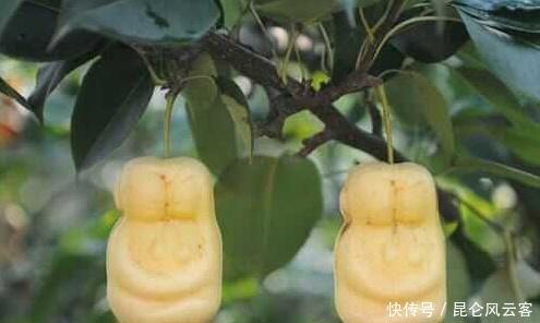 唯一|西游中唯一能杀死孙悟空的人,让如来大气不敢喘,玉帝也忍让三分