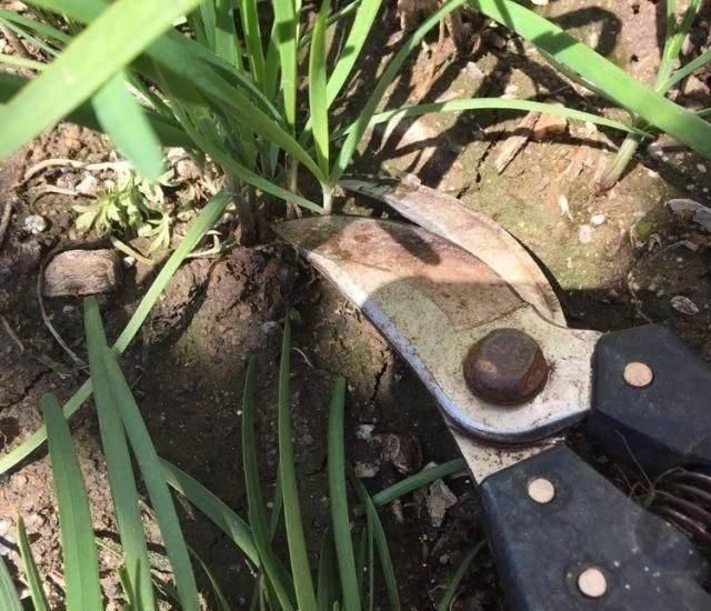 底脆皮软馅香的三鲜水煎包,这么做才好吃