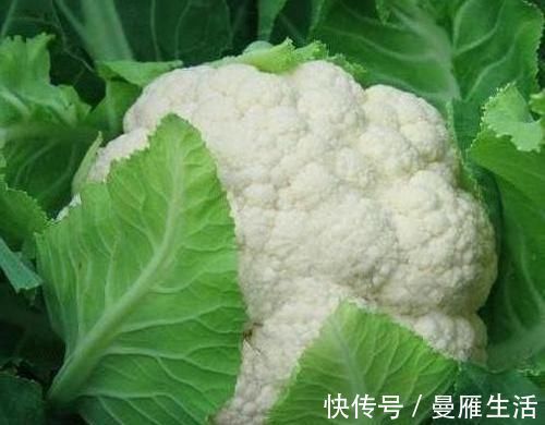 山药|前列腺炎的“特效药”找到了，男人多吃点，炎症或悄悄不见了