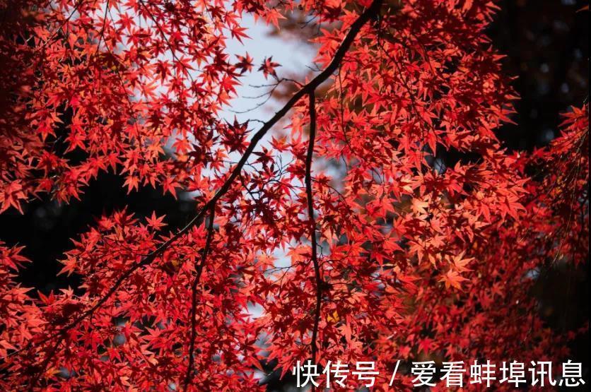 杂念|新年扫新房,更要扫心房