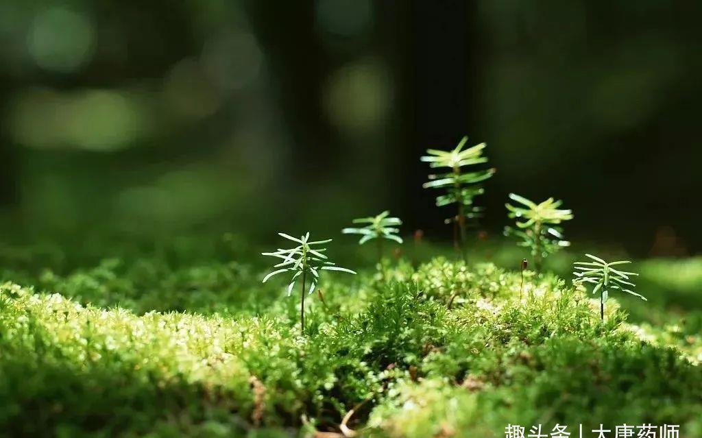 阴两虚|处暑后15天，提升体质黄金期！1个方子，把夏天亏空的气血补回来