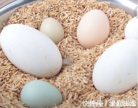 食物|怀孕的时候,孕妈们不要错过的四种食物,会提高宝宝的颜值哦