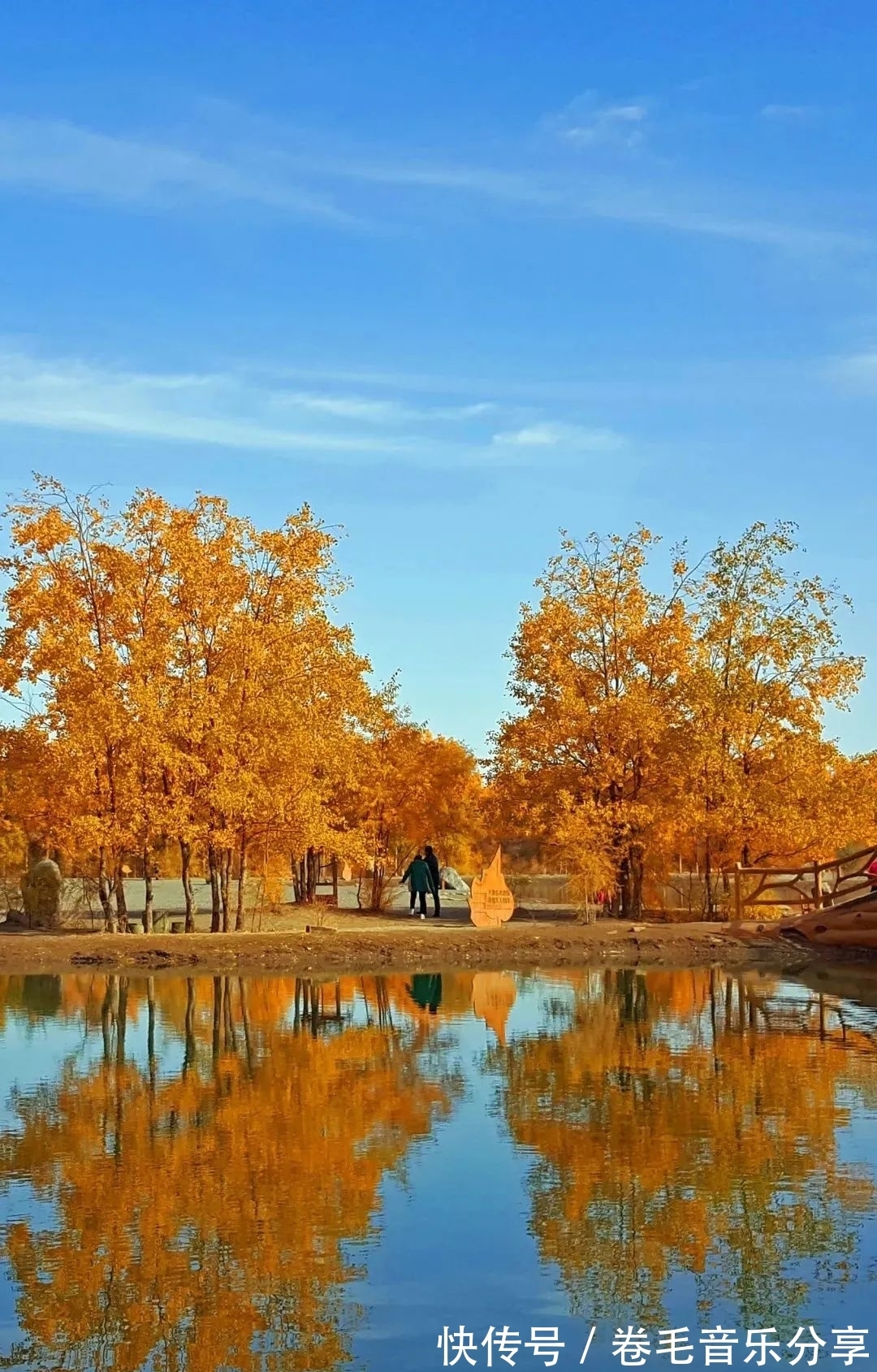 沙漠|金塔胡杨已成景，你确定不来看看吗？