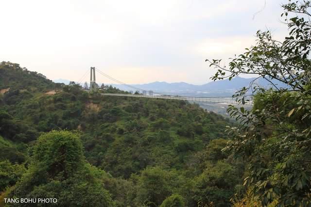 低薪|广东春节爬山好去处，南丹山森林公园，华南地区唯一的原始森林