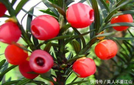 想长寿要先会吃，3种食物不能少，补充营养，身体棒棒哒