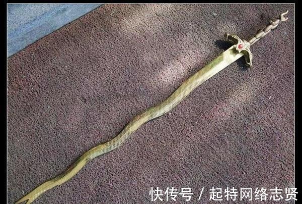 屠龙刀@金庸武侠剧的几个实力兵器排行榜,屠龙刀排第二,第一位是它!