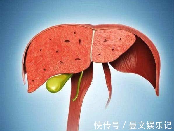 腋臭|肝不好的人，身上会有“1痛2臭3少”，若一个没有，肝脏还不错