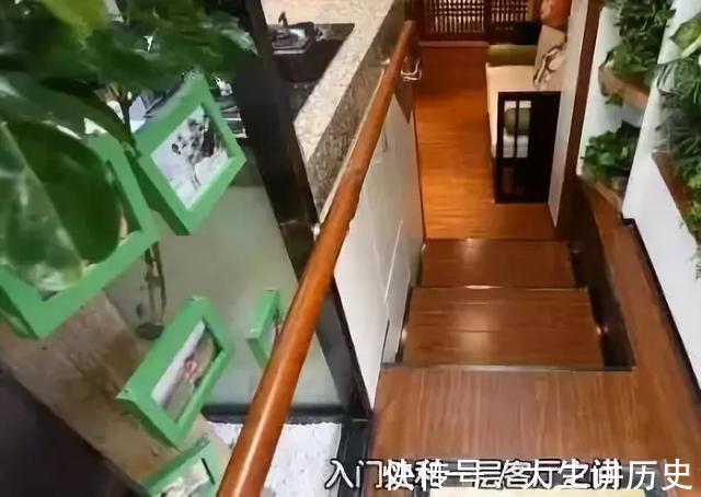 大树|15米大树穿过20㎡老屋,一家人害怕遭雷劈,出价8万挖走也不敢卖