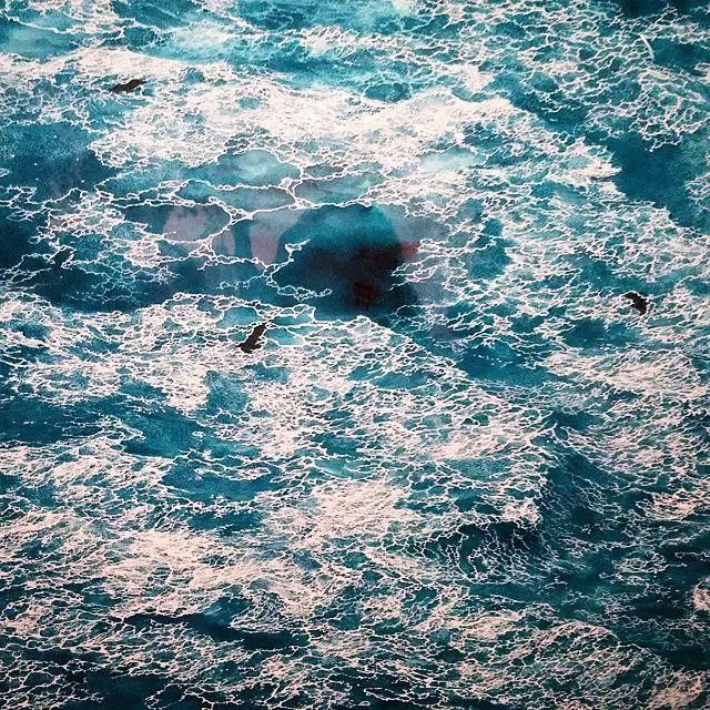 东京艺术大学$一幅画画了3年,细到要用放大镜,他把钢笔画玩到了极致