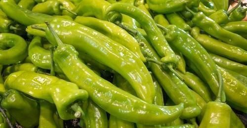 辣椒炒肉丝|买青椒时,什么样的青椒是辣的?菜农:牢记这3点,一挑一个准