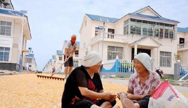 句俗语|俗话说“头伏饺子二伏面,三伏烙饼摊鸡蛋”,啥意思看完明白