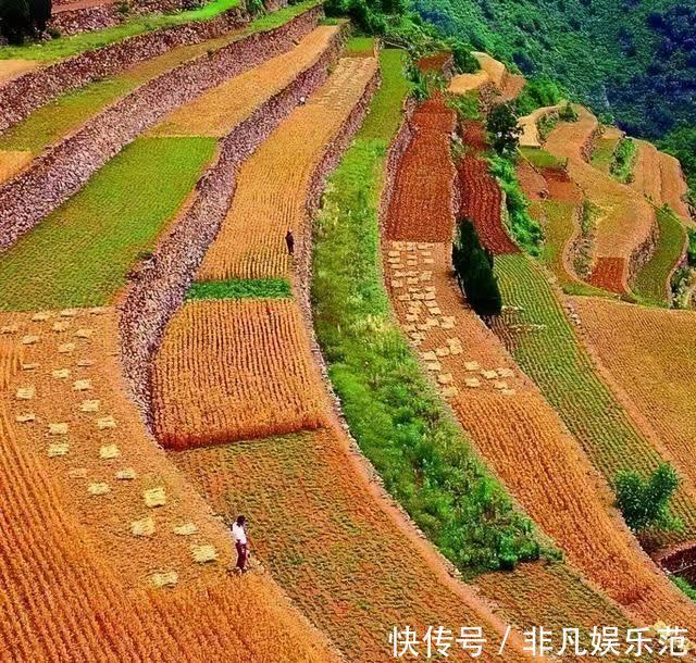 老年|微视河南,河南的那些梯田风光,分分钟把你迷倒