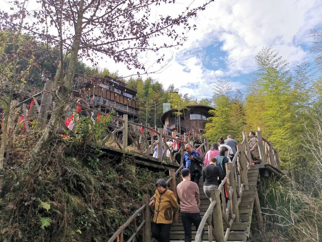 4.97亿元!丽水春节假期旅游市场火爆