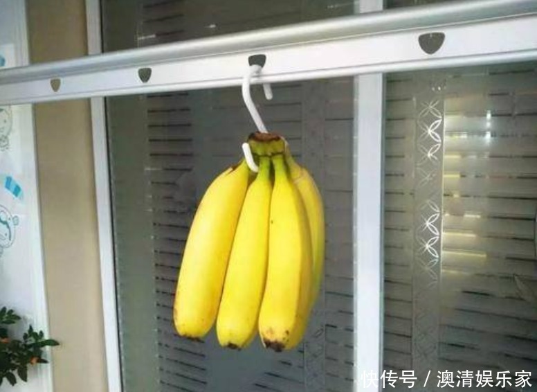 香蕉不会保存果农教你一招,轻松防止香蕉变黑,早知道早受益!