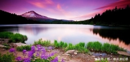 让一切都自然发生,培养习惯的思维模式