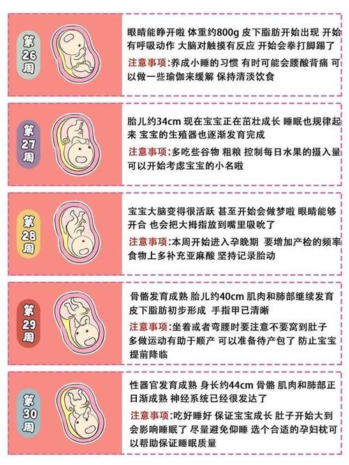 怀孕|女人第一次怀孕，会感到恐惧忐忑么？该怎么调整？