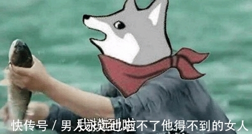 二次元|米忽悠菜谱二次元风味十足，玩梗不遗余力，芽衣提米刻晴纷纷落泪