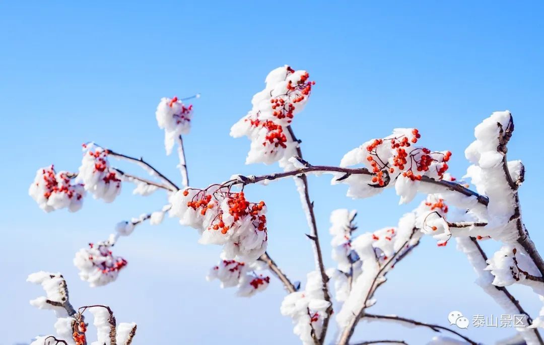  散文|跟随姚鼐的散文《登泰山记》冬览泰山