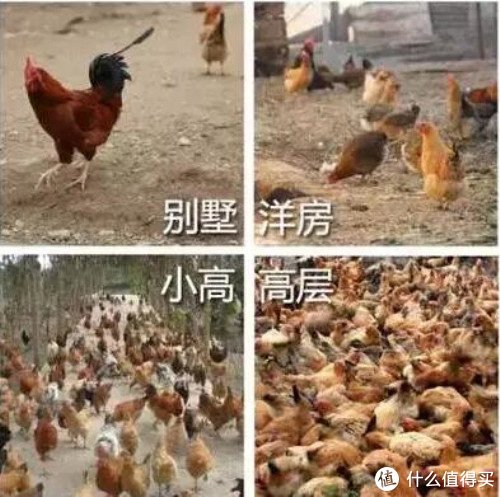 样板间|2022换房日记 篇二：艰难买房路，买房全过程真实分享