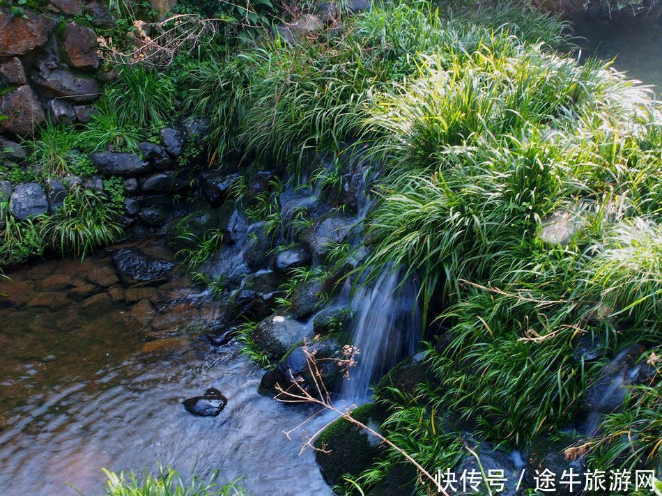 桐庐天子地，集樱花林、溶洞、湖泊峡谷的小众目的地，人少景美