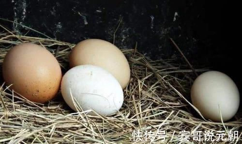 白皮|买鸡蛋，选红皮还是白皮的？专业养鸡人教你一招，保你挑到好鸡蛋