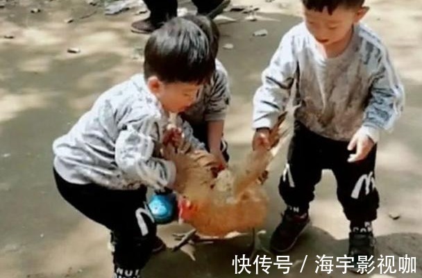 爷爷奶奶|妈妈回家发现三胞胎正合谋杀鸡,妈妈乐坏了,爷爷气坏了