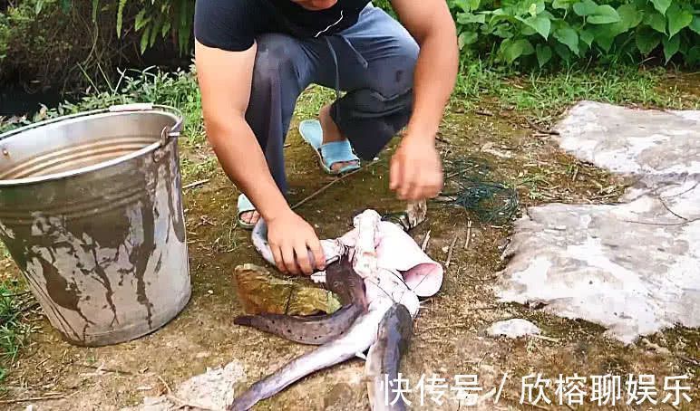 肠胃功能紊乱|小伙钓鱼时扔了块猪肺到河里,大家很疑惑,一会后又都来围观