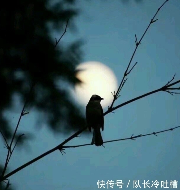 茅店@又到夏蝉长鸣的季节,辛弃疾的这首《西江月》,足以惊艳整个夏天