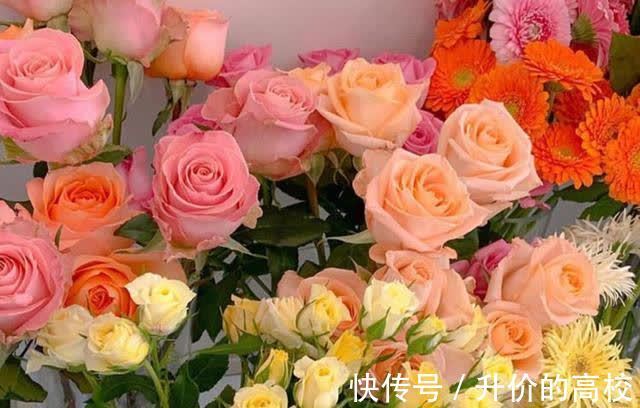 水瓶座|自我意识强,但也善于变通的星座,懂得随机应变,该低头就低头