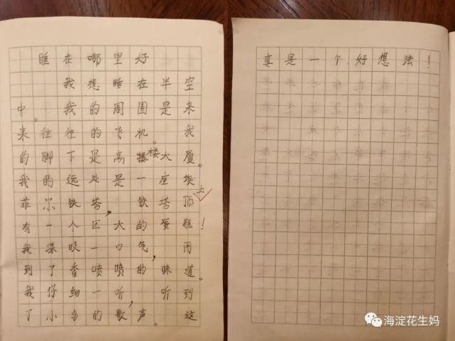 反面|我家两娃7-8岁作文稿及点评，包括反面案例