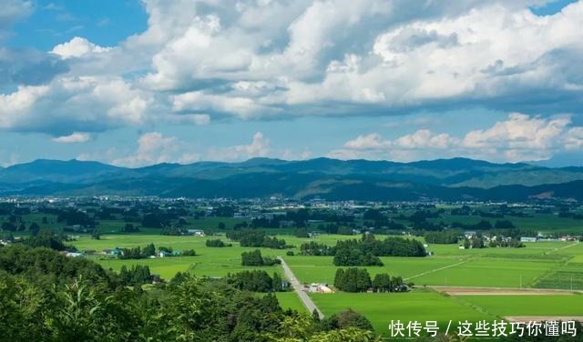 盘点厉害的水果品种推荐