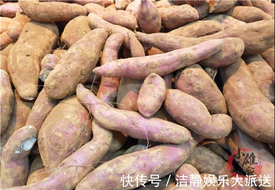 技巧|买红薯要选公的，菜农学会4个技巧，看一眼就能辨出来，太实用