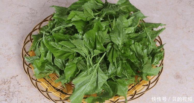 紫薯|女人爱美,推荐三种食物,刮油消脂,清热排毒,营养又瘦身